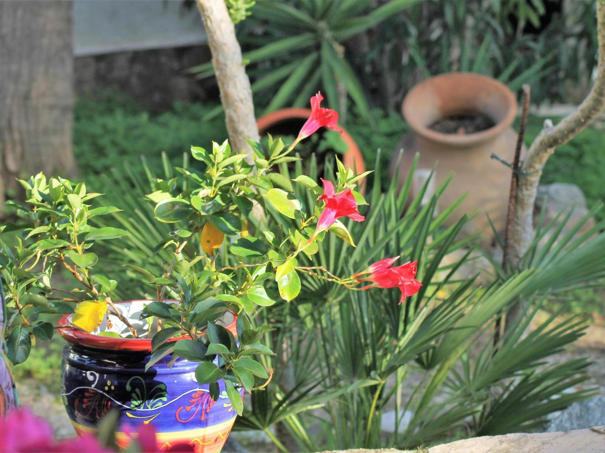 Holiday home Alquiler Casa Canigo, Santa Margarita, - Es-366-4